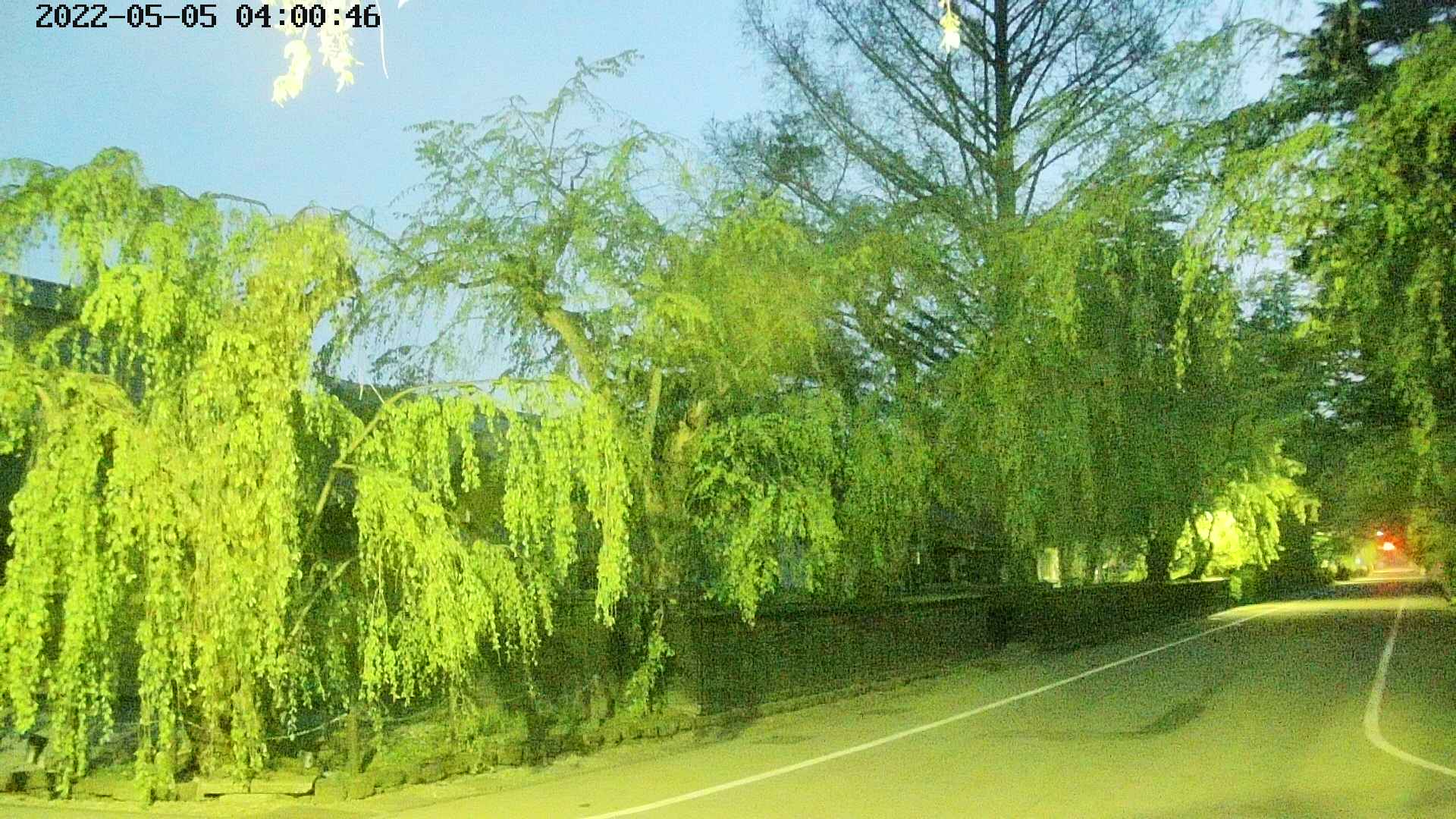 area4-20220505040048.jpg