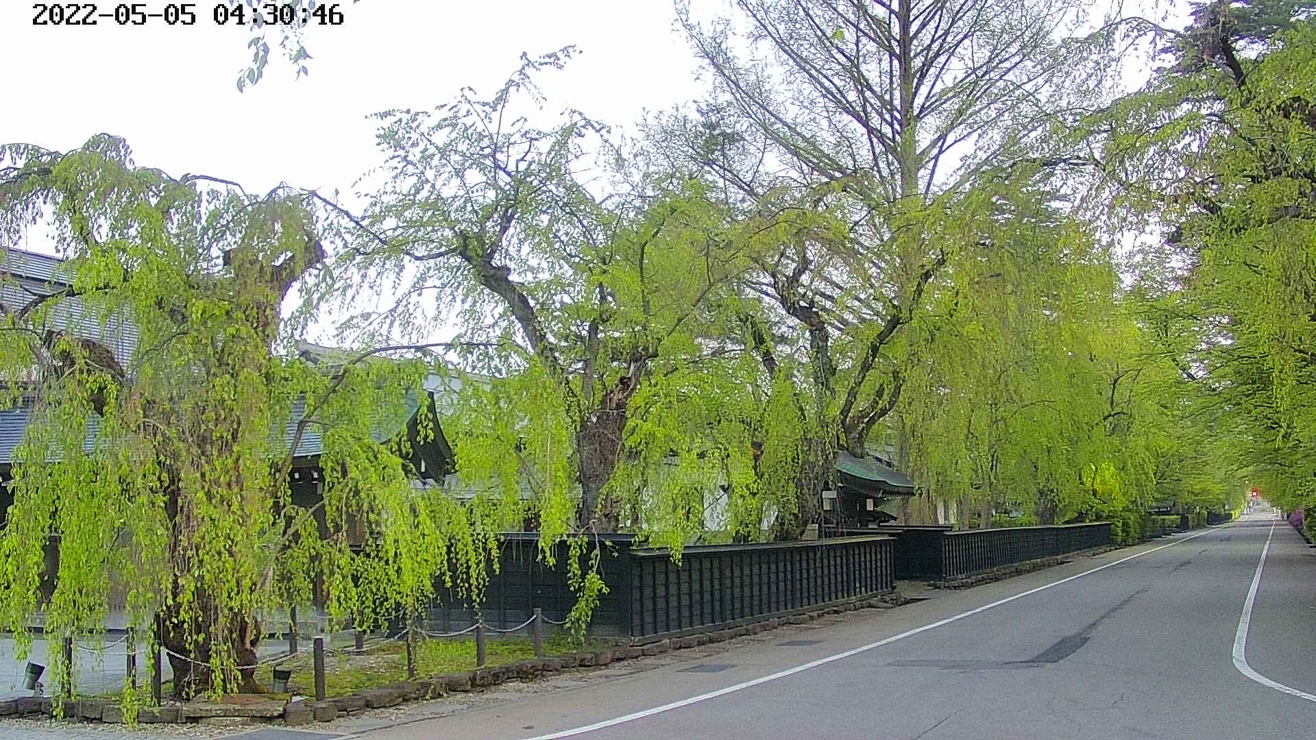 area4-20220505043048.jpg