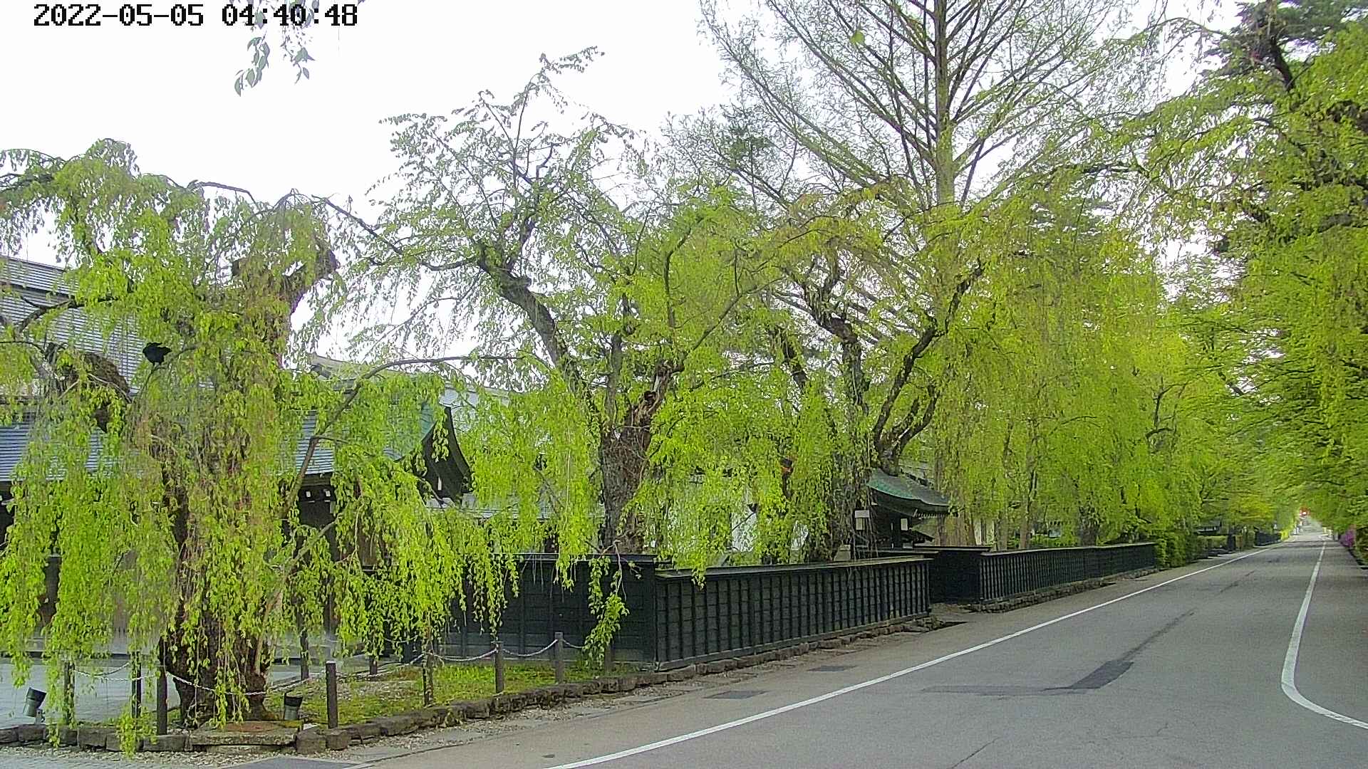 area4-20220505044051.jpg