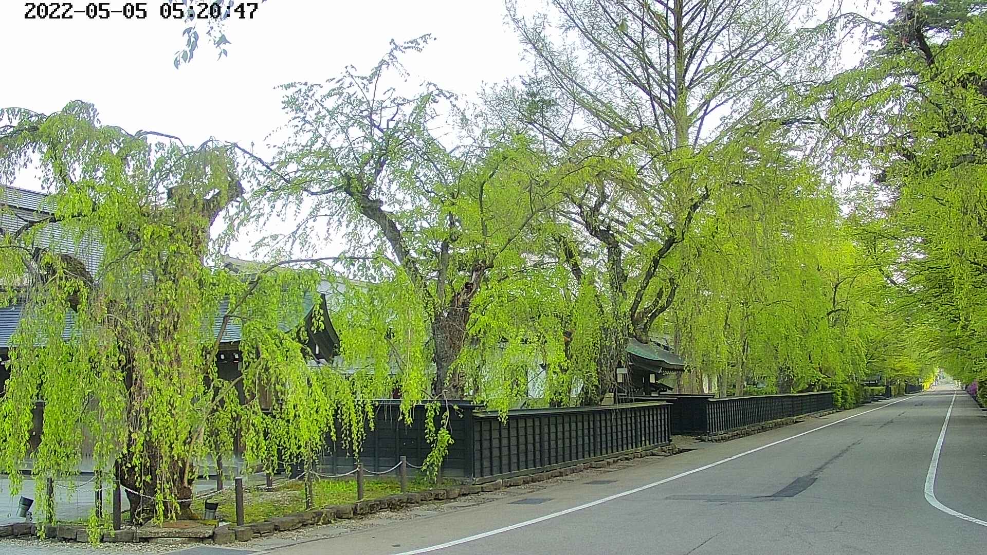 area4-20220505052049.jpg