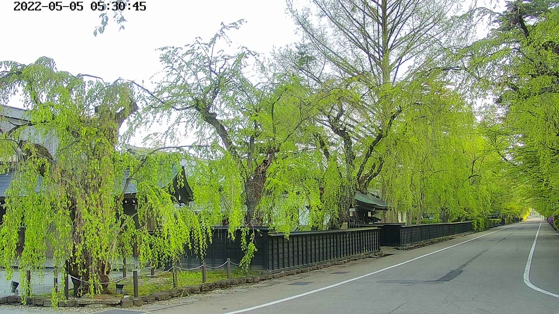 area4-20220505053047.jpg