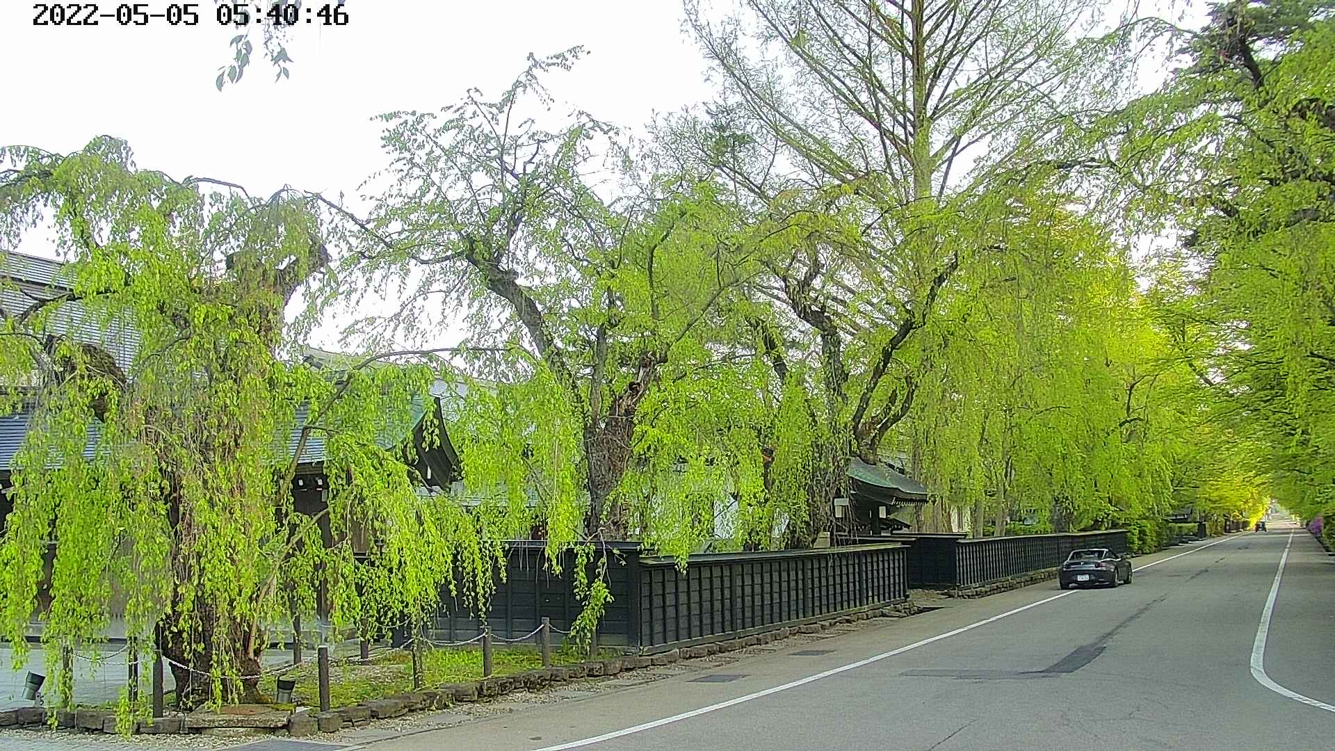 area4-20220505054049.jpg