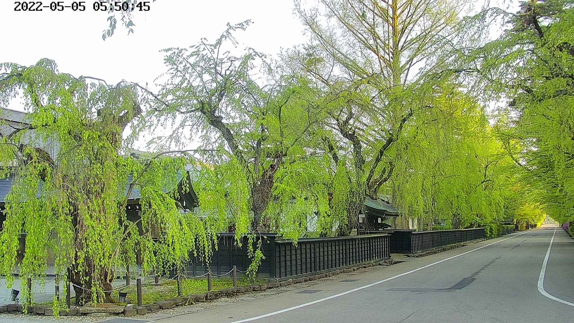 area4-20220505055048.jpg