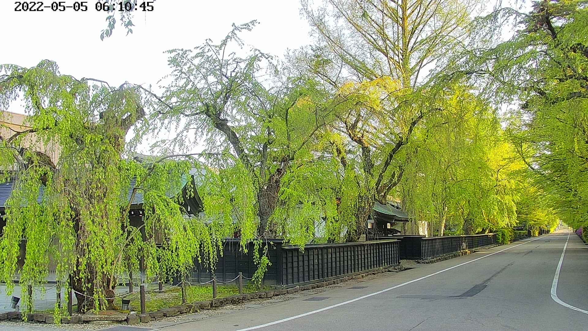 area4-20220505061047.jpg