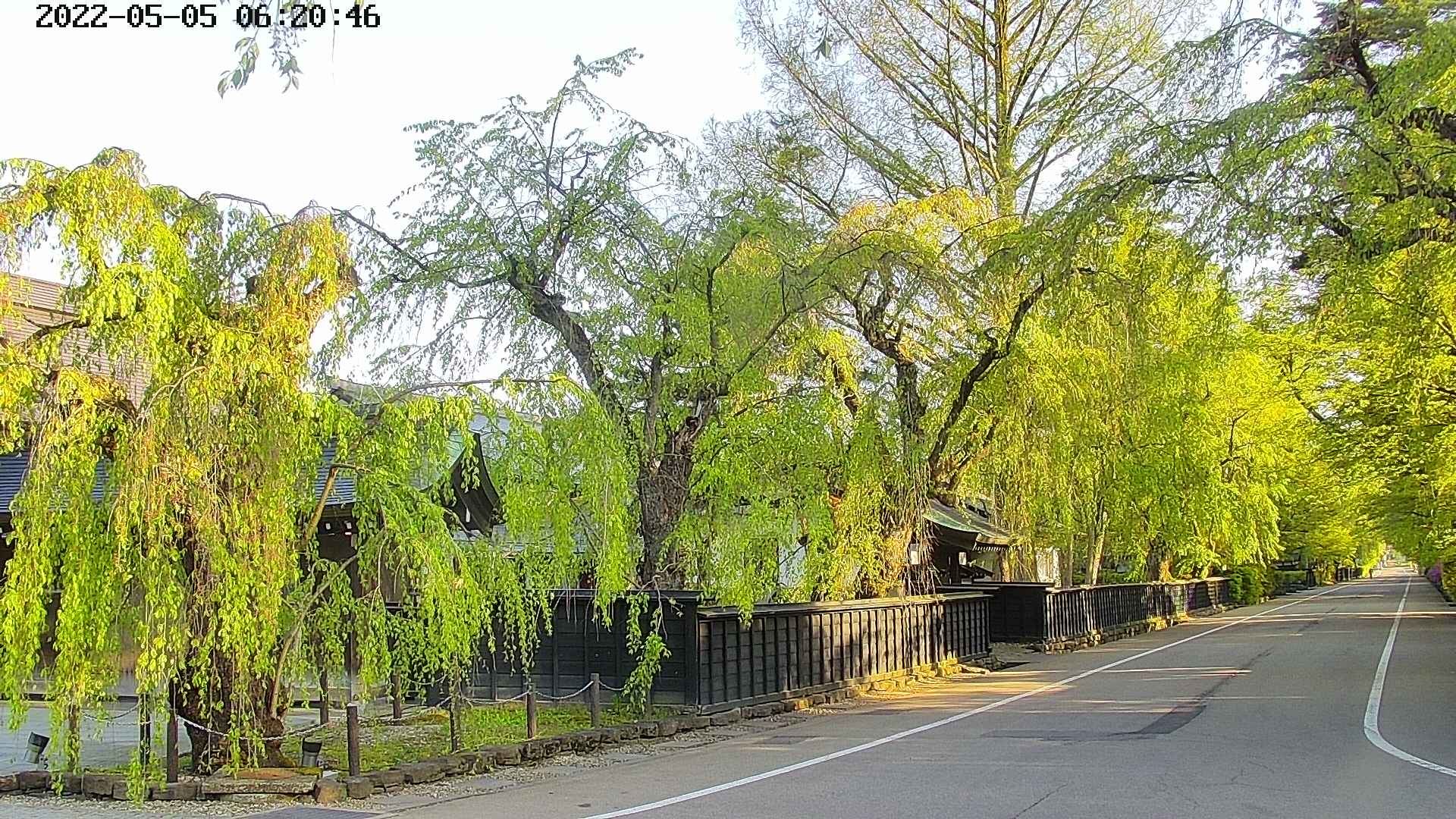 area4-20220505062049.jpg