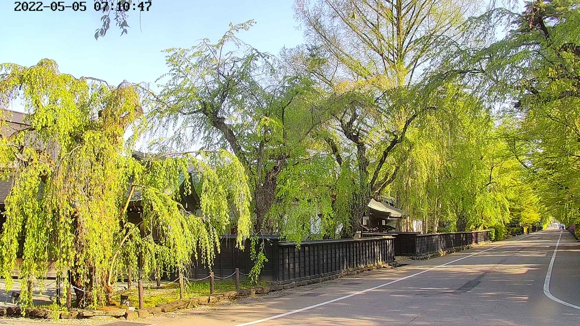 area4-20220505071049.jpg