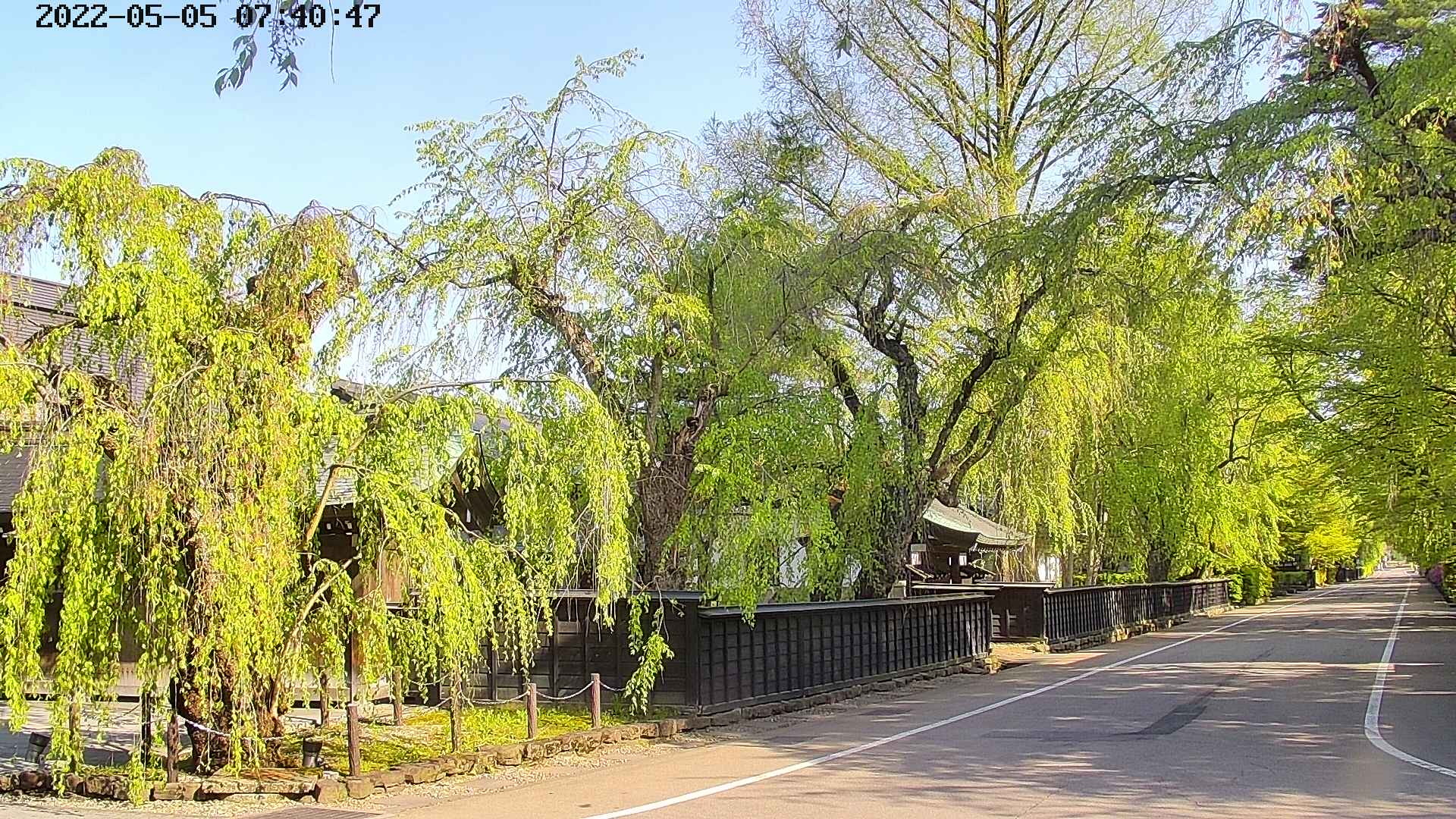area4-20220505074050.jpg