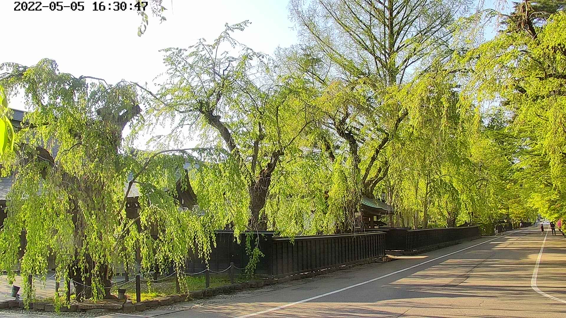 area4-20220505163049.jpg