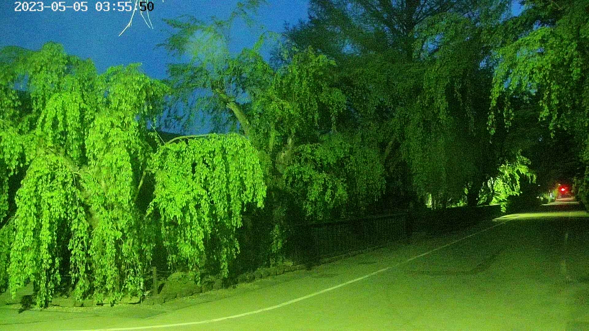 area4-20230505035552.jpg