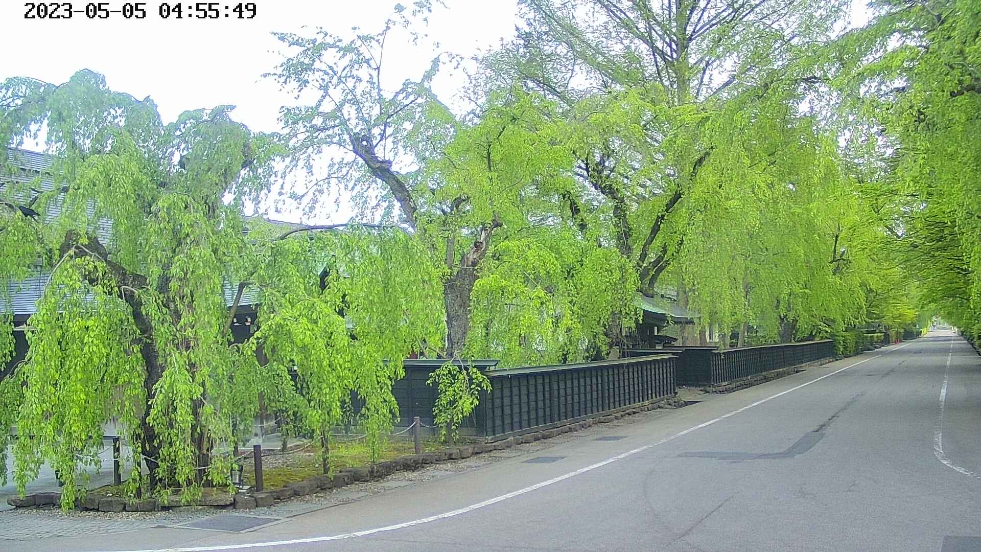 area4-20230505045552.jpg