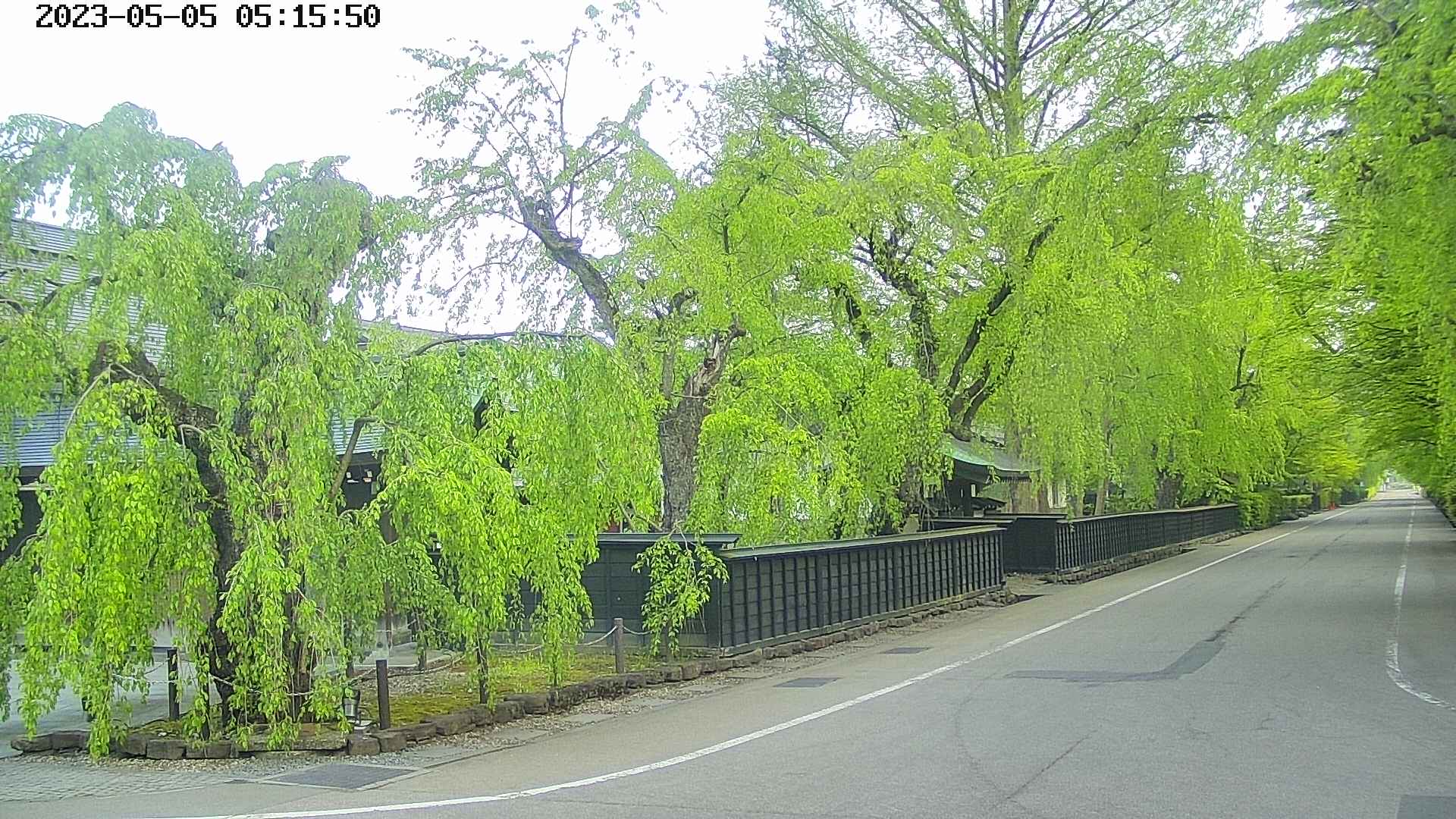 area4-20230505051552.jpg