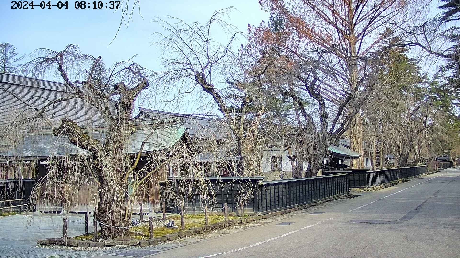 area4-20240404081040.jpg