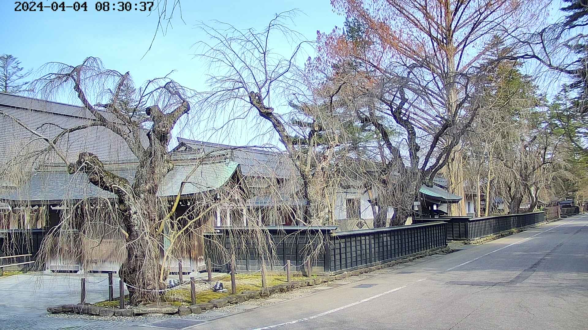 area4-20240404083041.jpg