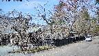 area4-20240404114039.jpg