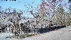 area4-20240404115040.jpg