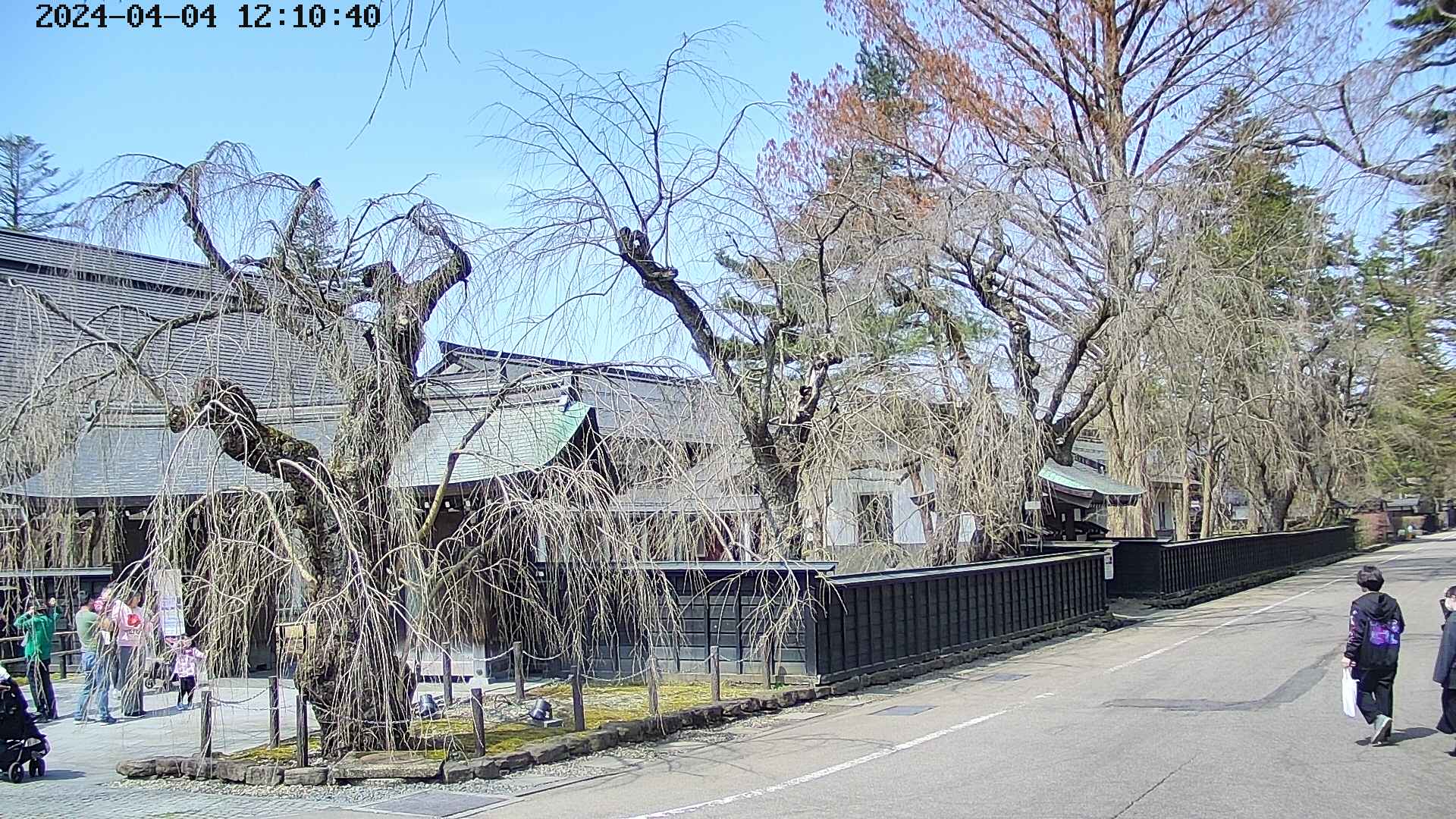 area4-20240404121041.jpg
