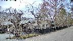area4-20240404123040.jpg