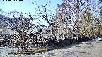 area4-20240404145040.jpg