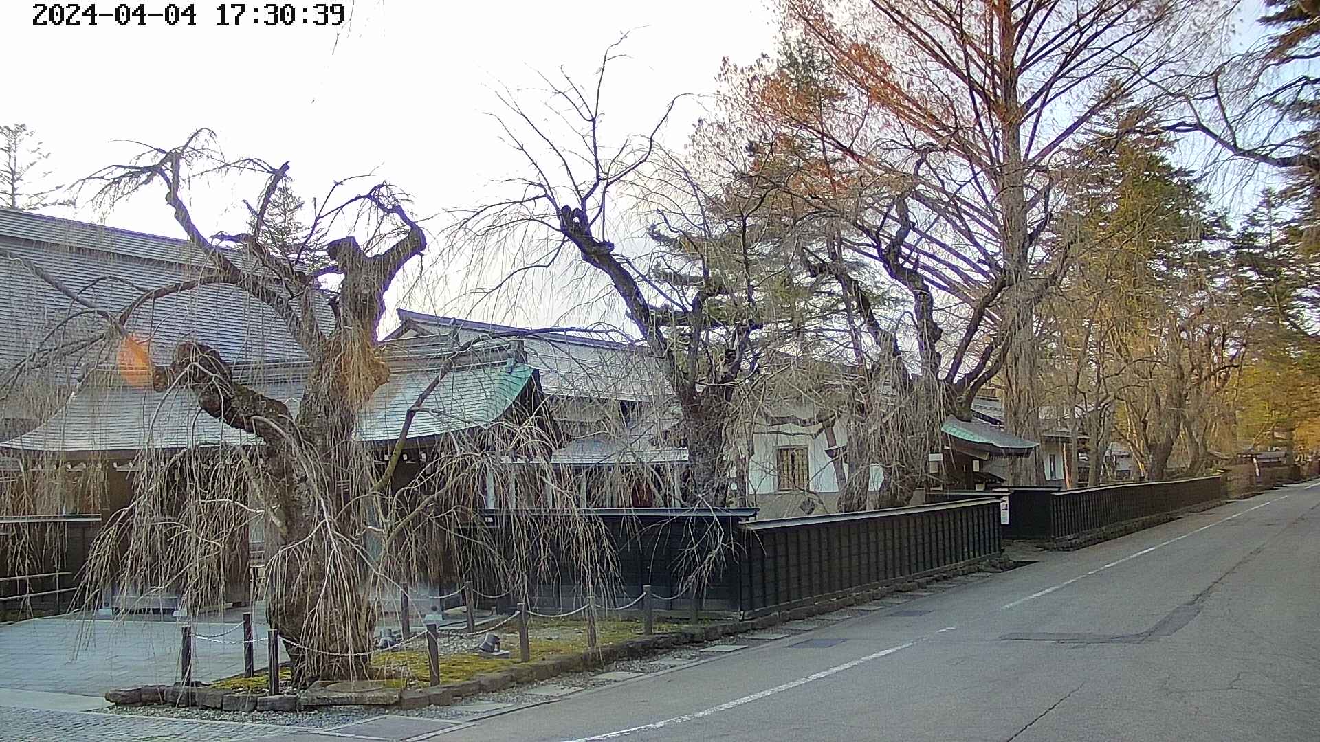 area4-20240404173040.jpg