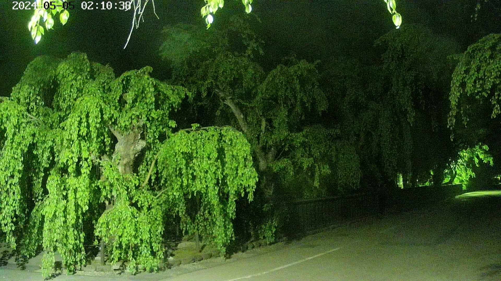 area4-20240505021039.jpg