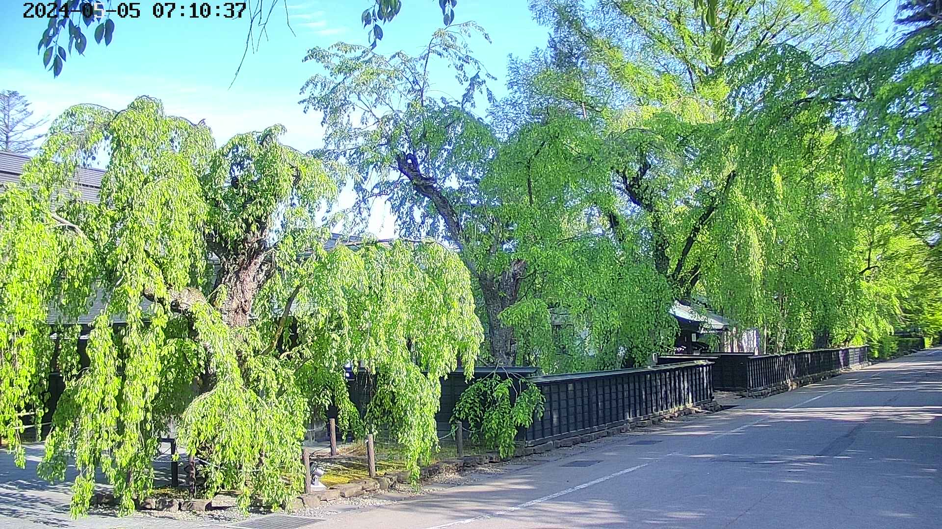 area4-20240505071039.jpg