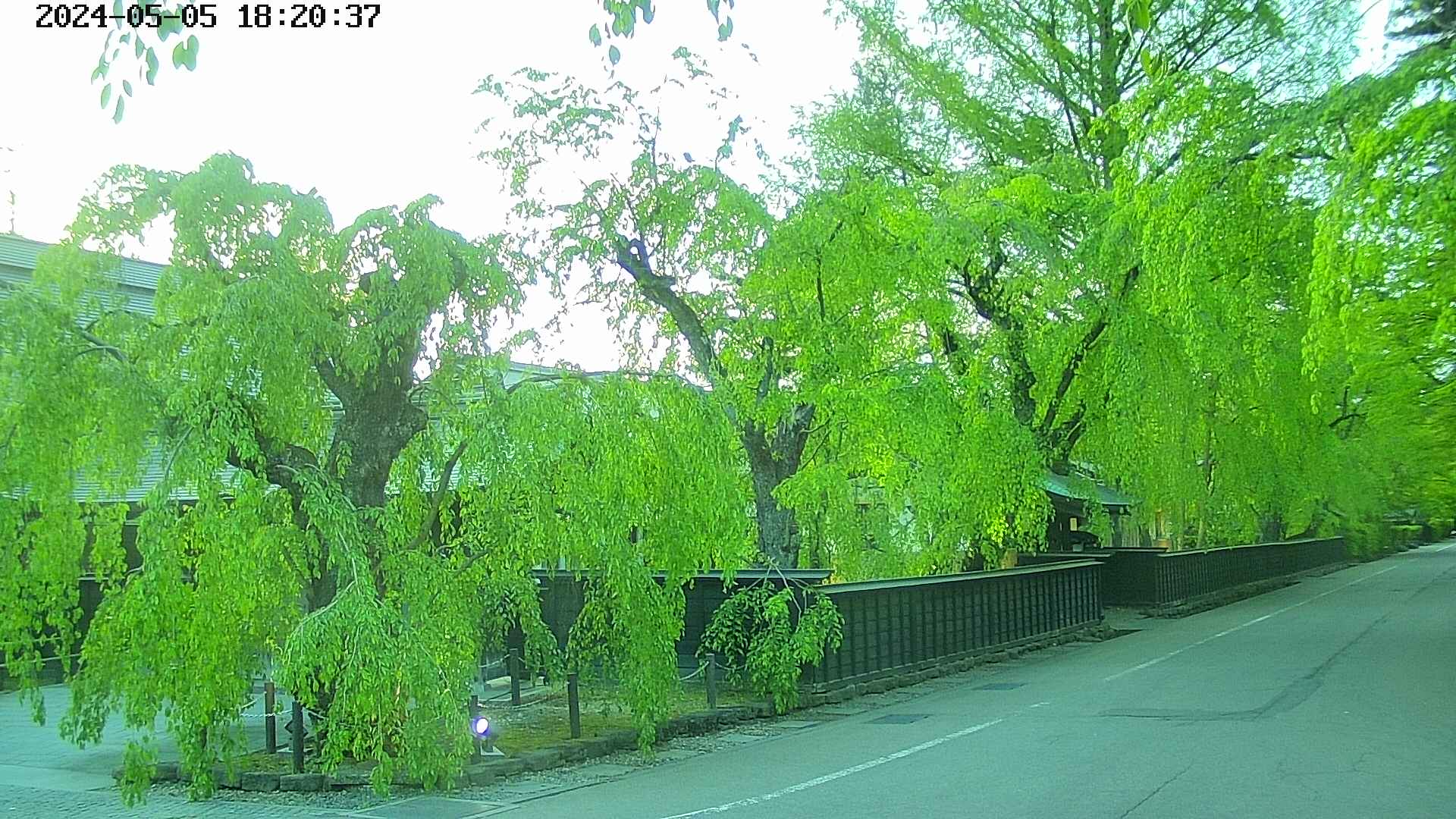 area4-20240505182039.jpg