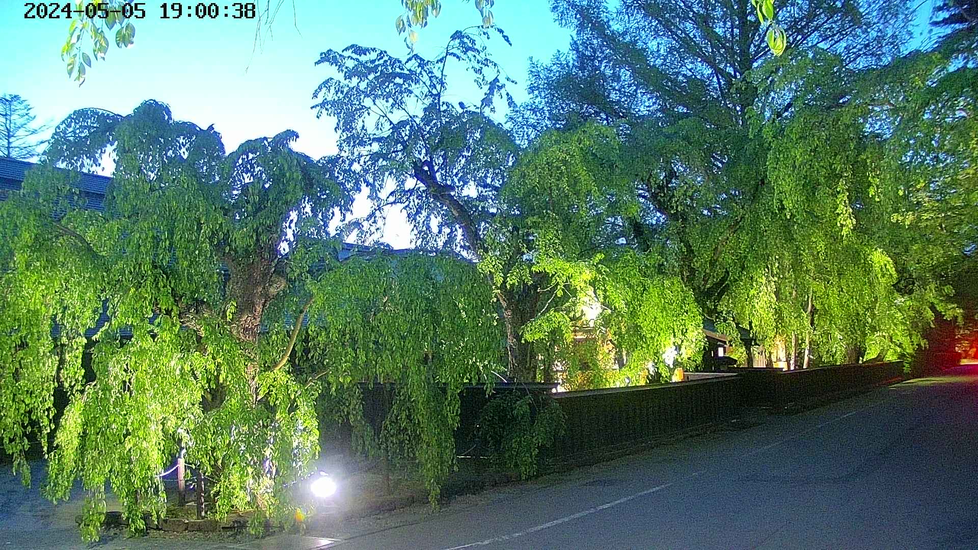 area4-20240505190040.jpg