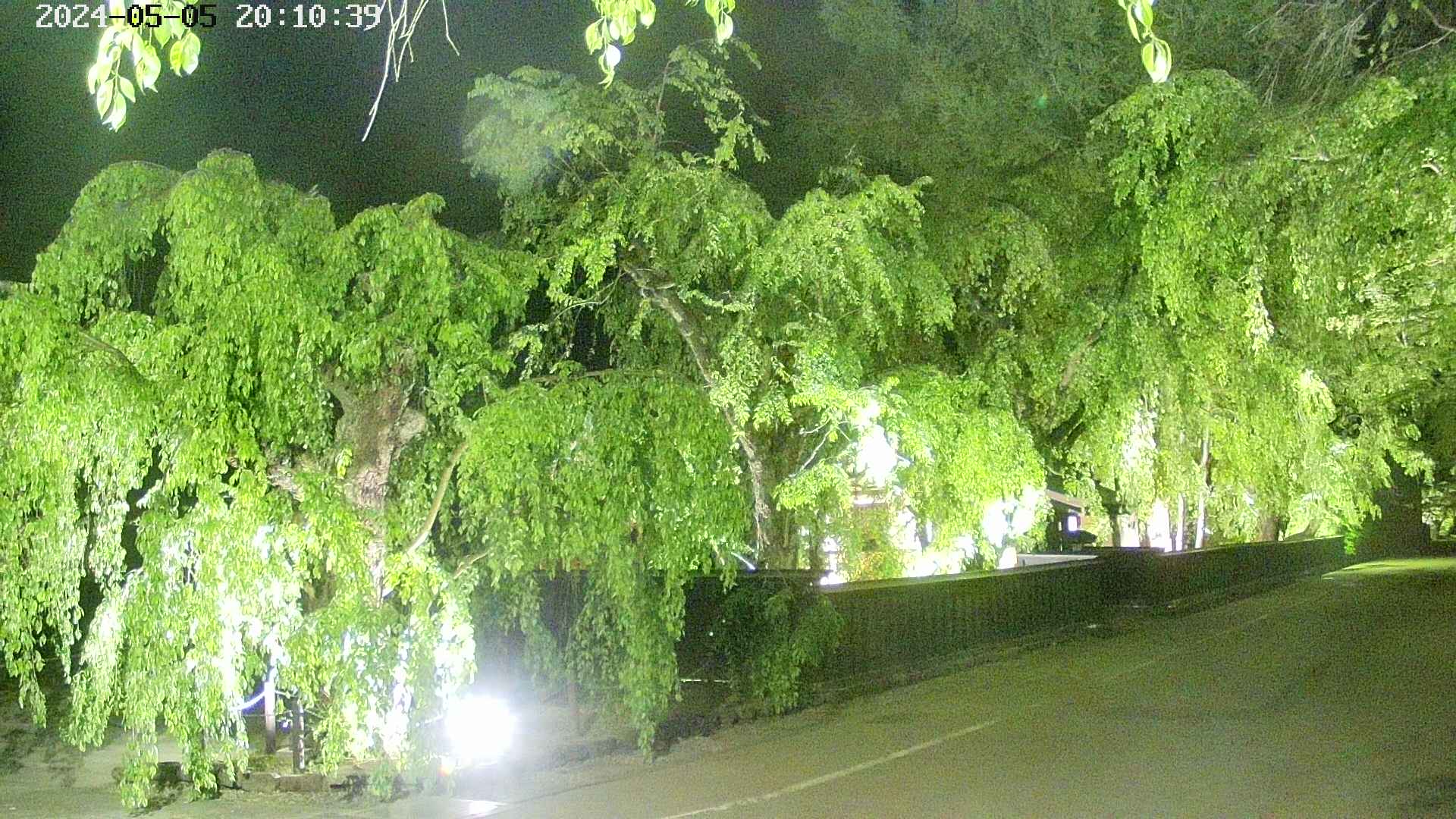 area4-20240505201040.jpg