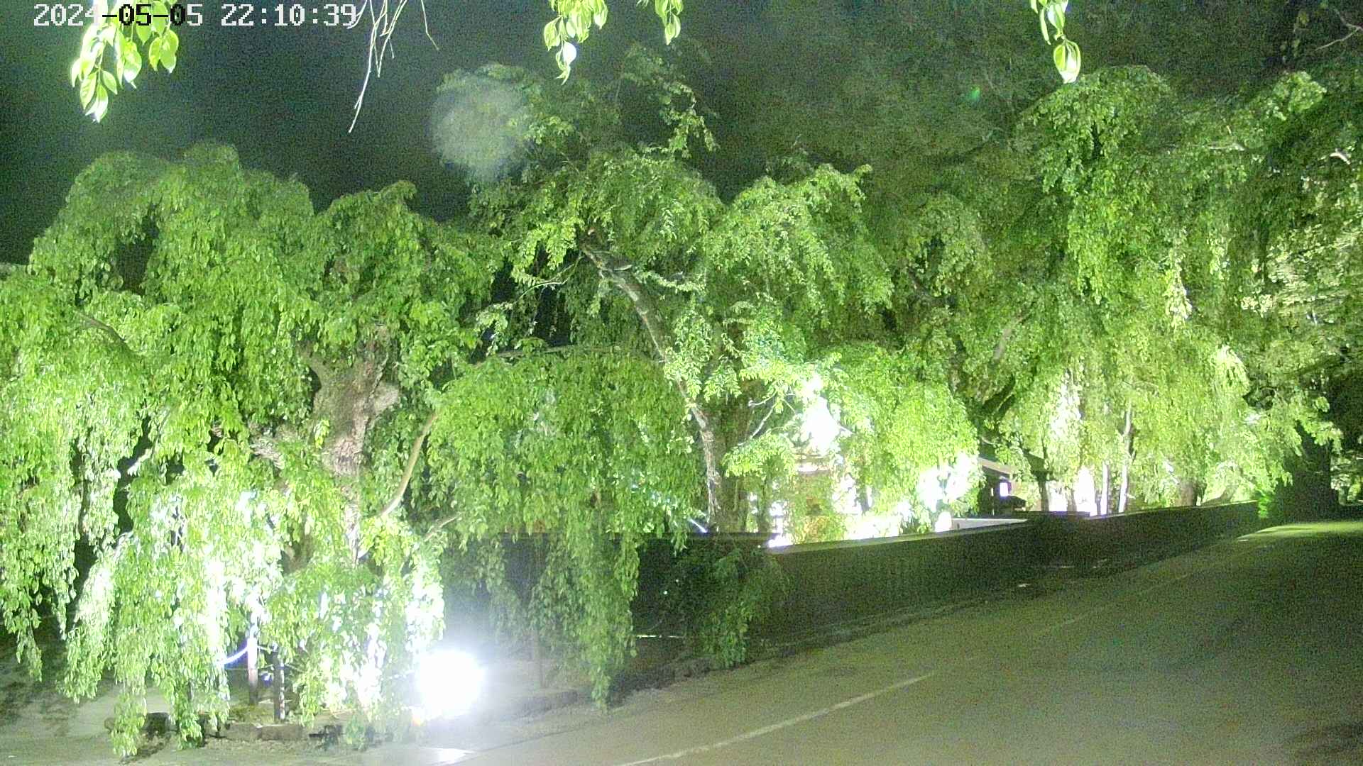 area4-20240505221040.jpg
