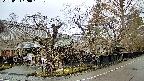 area4-20250403120043.jpg