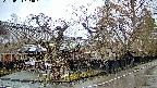 area4-20250403154041.jpg