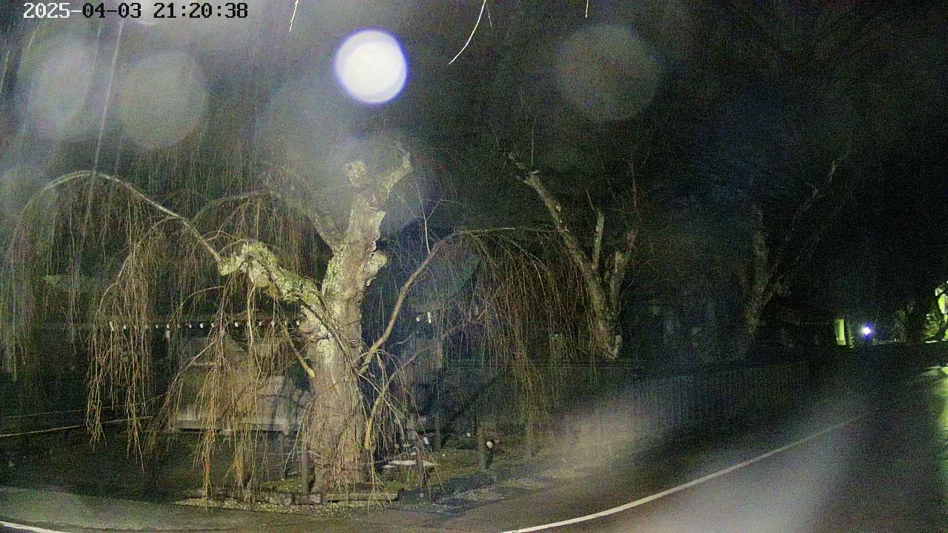 area4-20250403212041.jpg