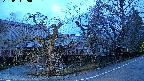 area4-20250404050041.jpg