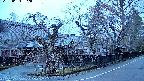 area4-20250404052041.jpg