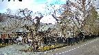 area4-20250404090041.jpg