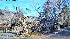 area4-20250405070041.jpg