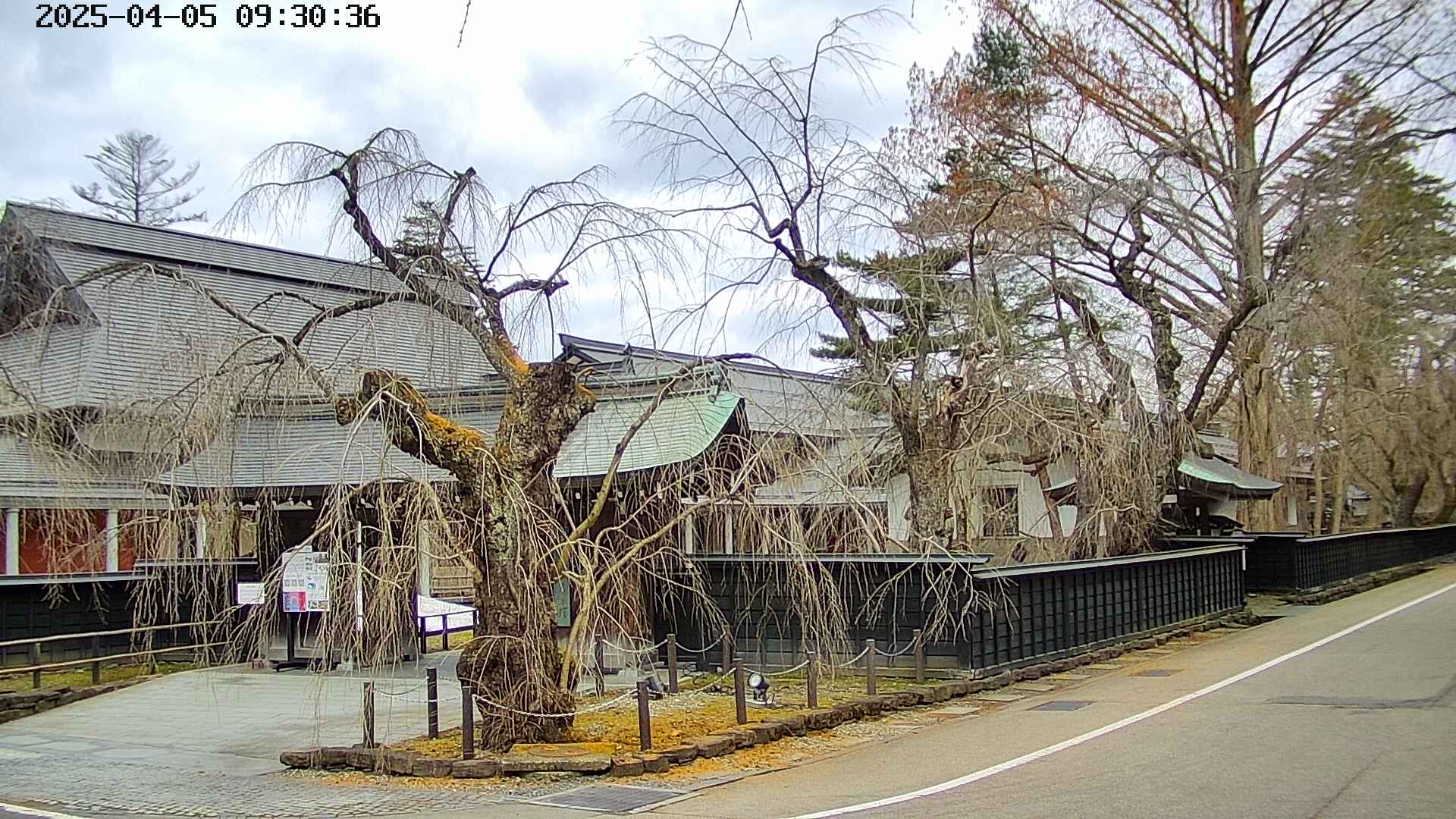 area4-20250405093040.jpg
