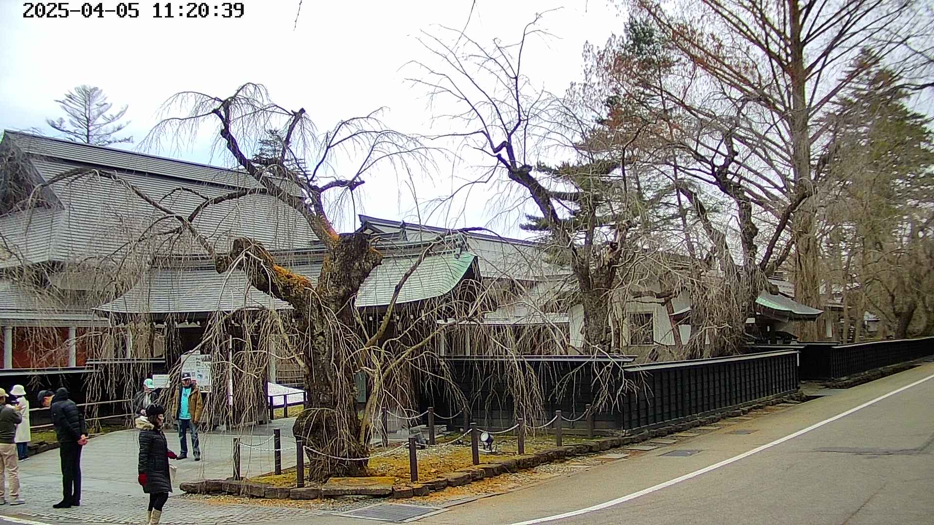 area4-20250405112039.jpg