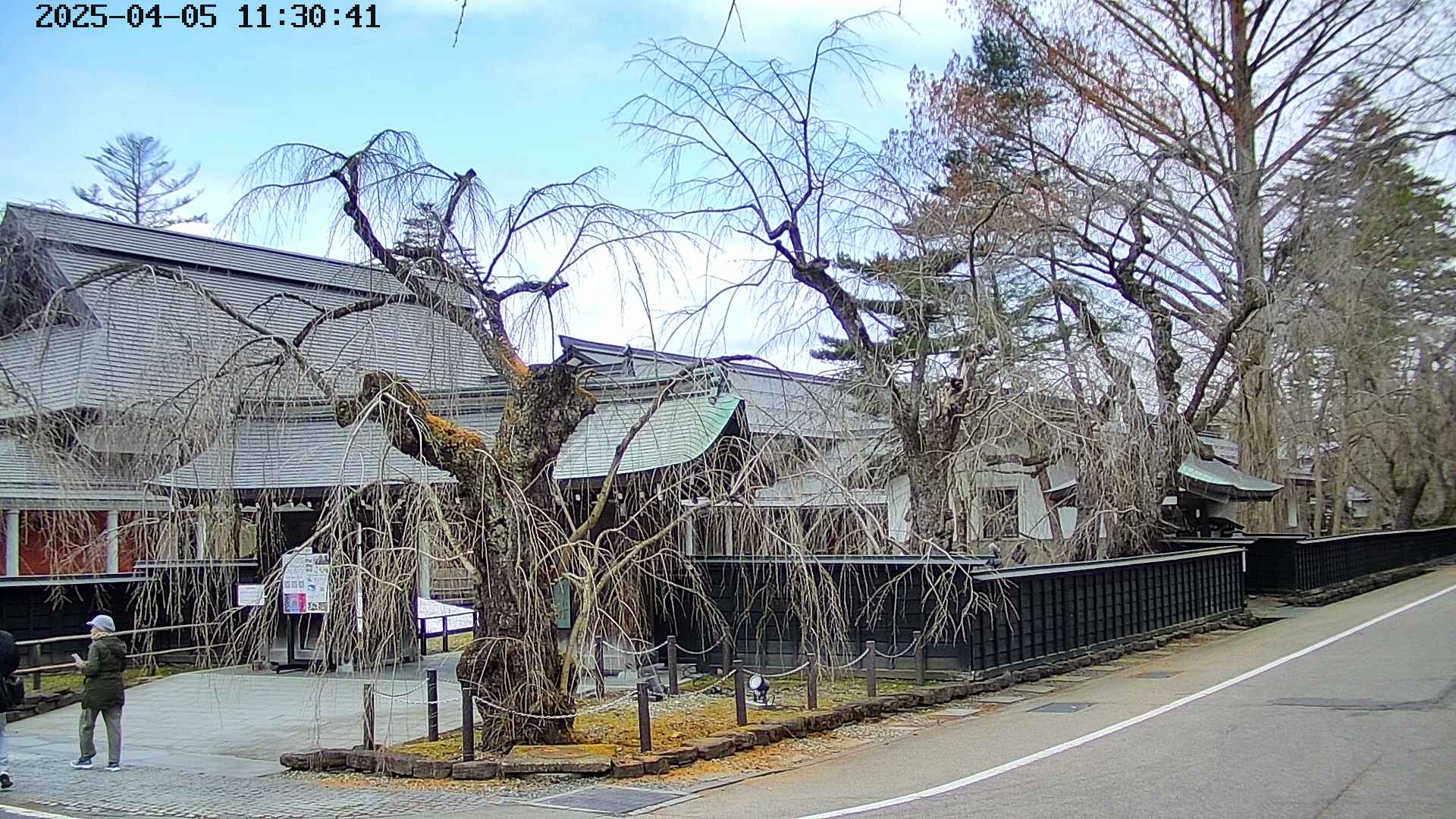 area4-20250405113041.jpg