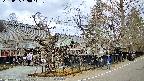 area4-20250405120042.jpg