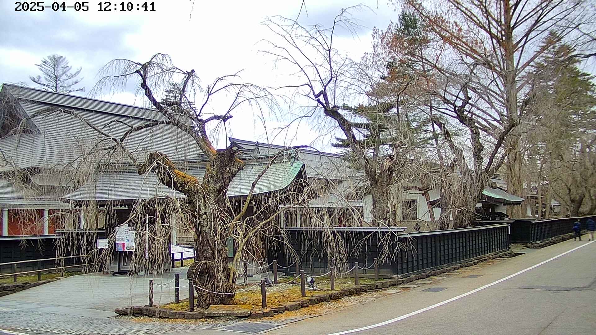 area4-20250405121041.jpg