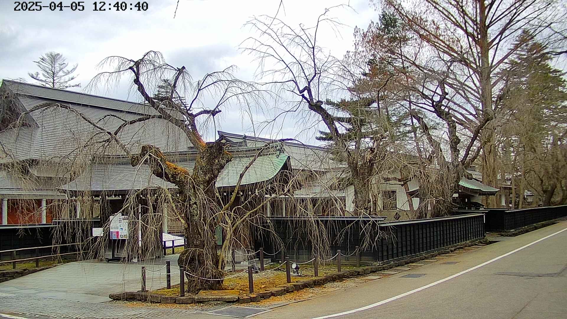 area4-20250405124041.jpg