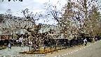 area4-20250405135040.jpg