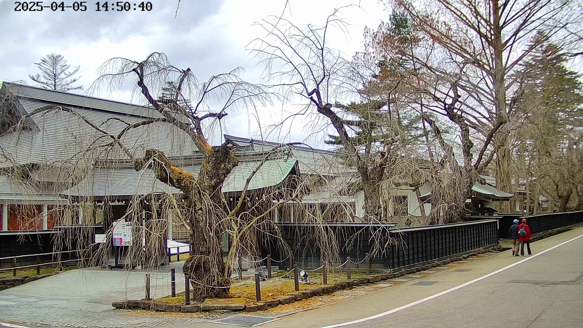 area4-20250405145041.jpg