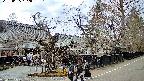 area4-20250405152041.jpg