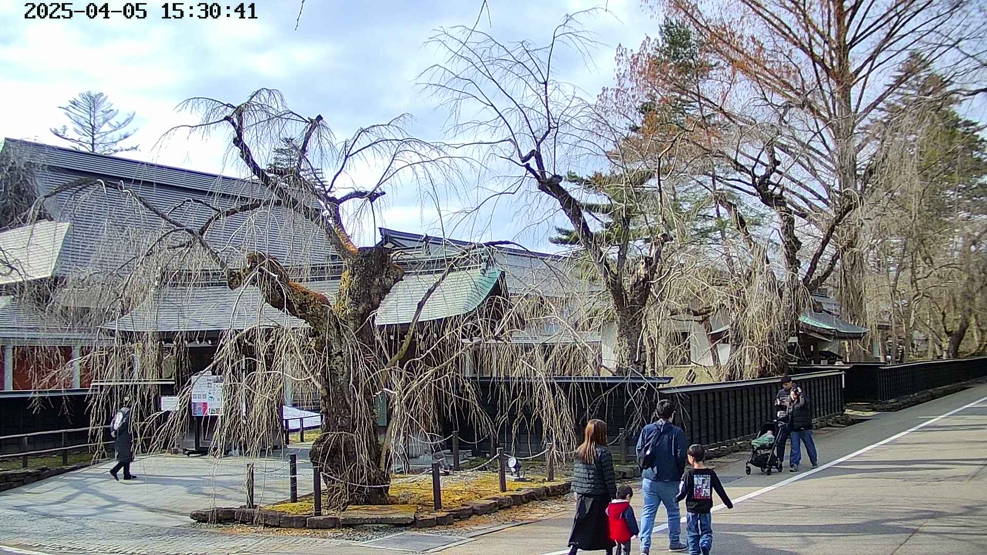 area4-20250405153042.jpg