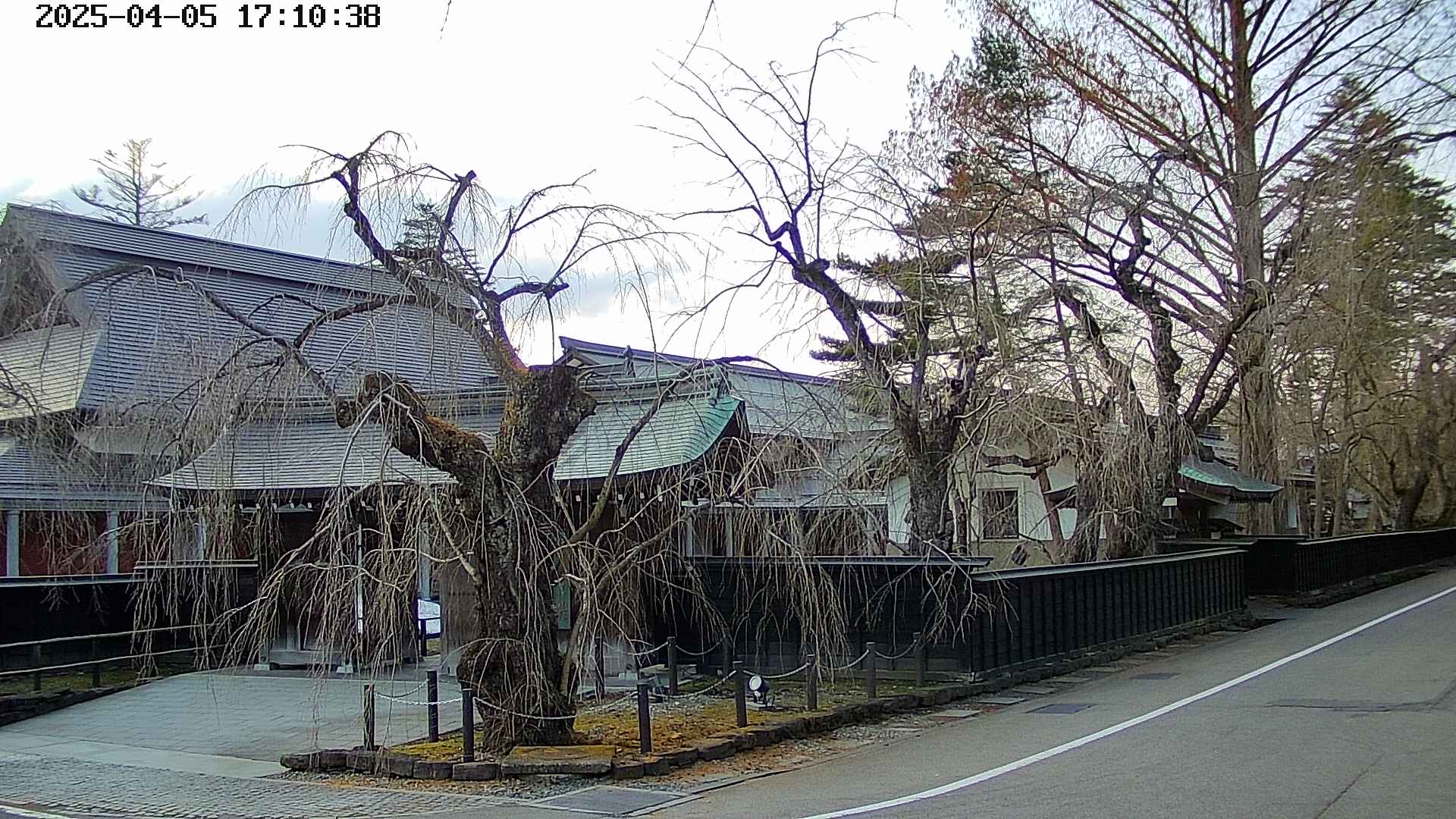 area4-20250405171040.jpg