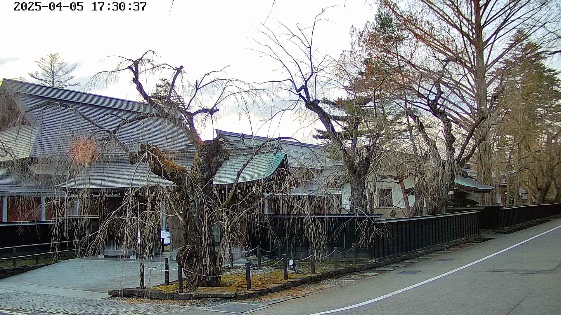 area4-20250405173039.jpg