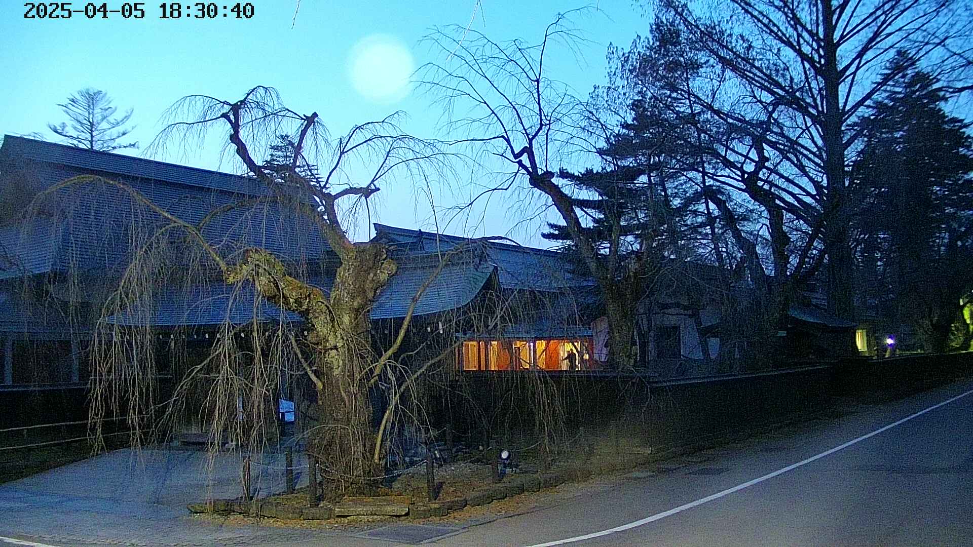 area4-20250405183042.jpg