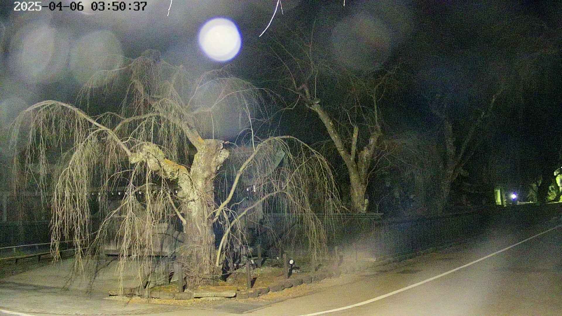 area4-20250406035041.jpg